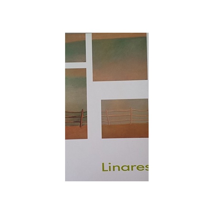 Linares. Human Landscapes. Selective exhibition. CAMCO. Centro de Arte Ciudad de Oviedo